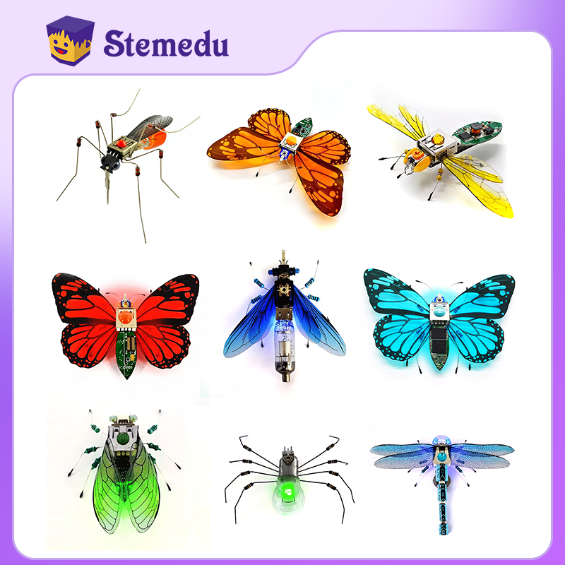 Science And Invention - STEAM DIY Toys Robot Insect Science