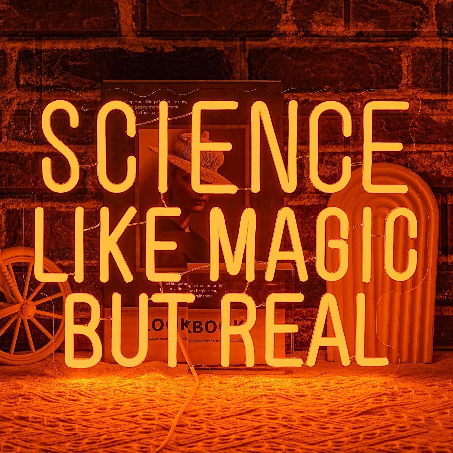 Science Like Magic But Real Ne - đánh giá và giá Science Hobbyist
