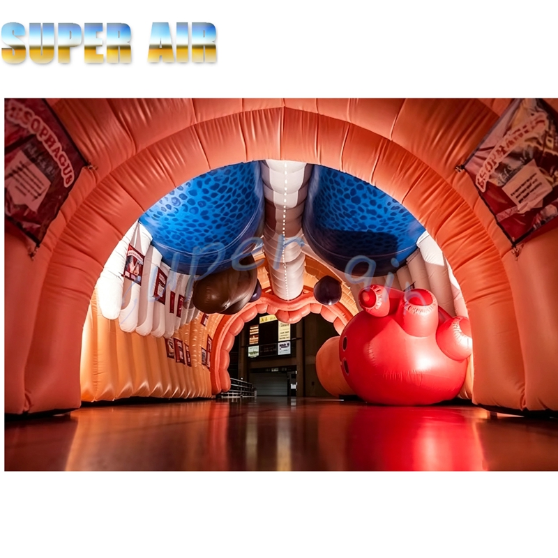 Giant Inflatable Human Body Mo - đánh giá và giá Science Exhibition Models