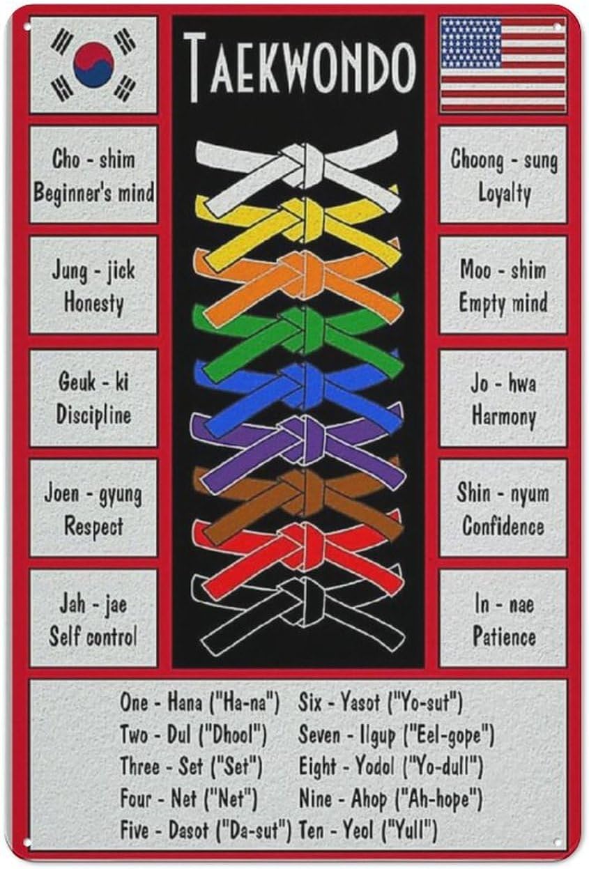 Taekwondo Knowledge Metal Sign - đánh giá và giá Science Hobbyist
