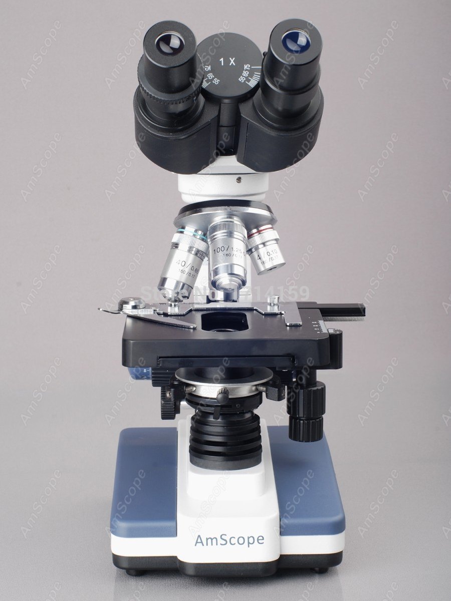 AmScope Student & Professional - đánh giá và giá Amscope Microscope Compound 40X-1000X
