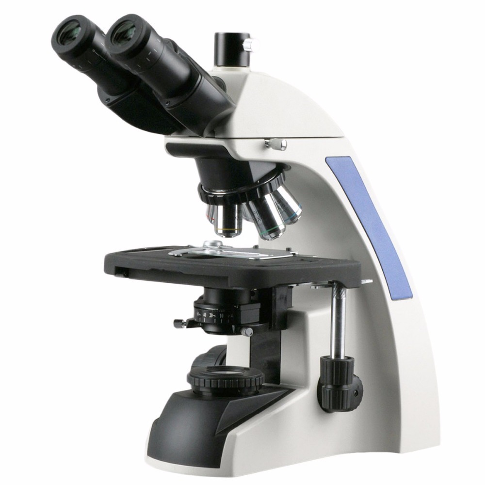 AmScope T720 Series Infinity-C - đánh giá và giá Amscope Microscope Compound 40X-1000X