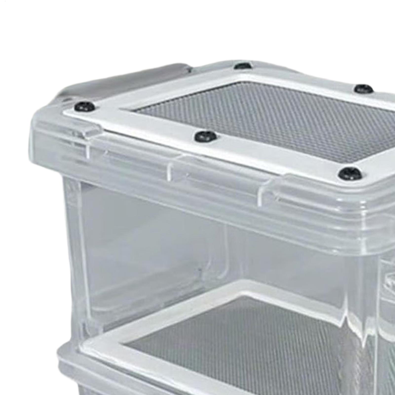 Mealworm Breeding Kit 3-Layer  - đánh giá và giá Science Hobbyist