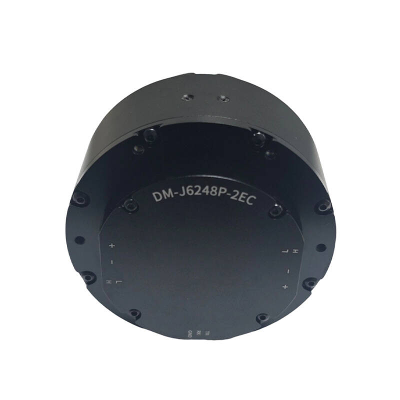 DAMIAO DM-J6248P-2EC Industria - đánh giá và giá Robot Arm Motor