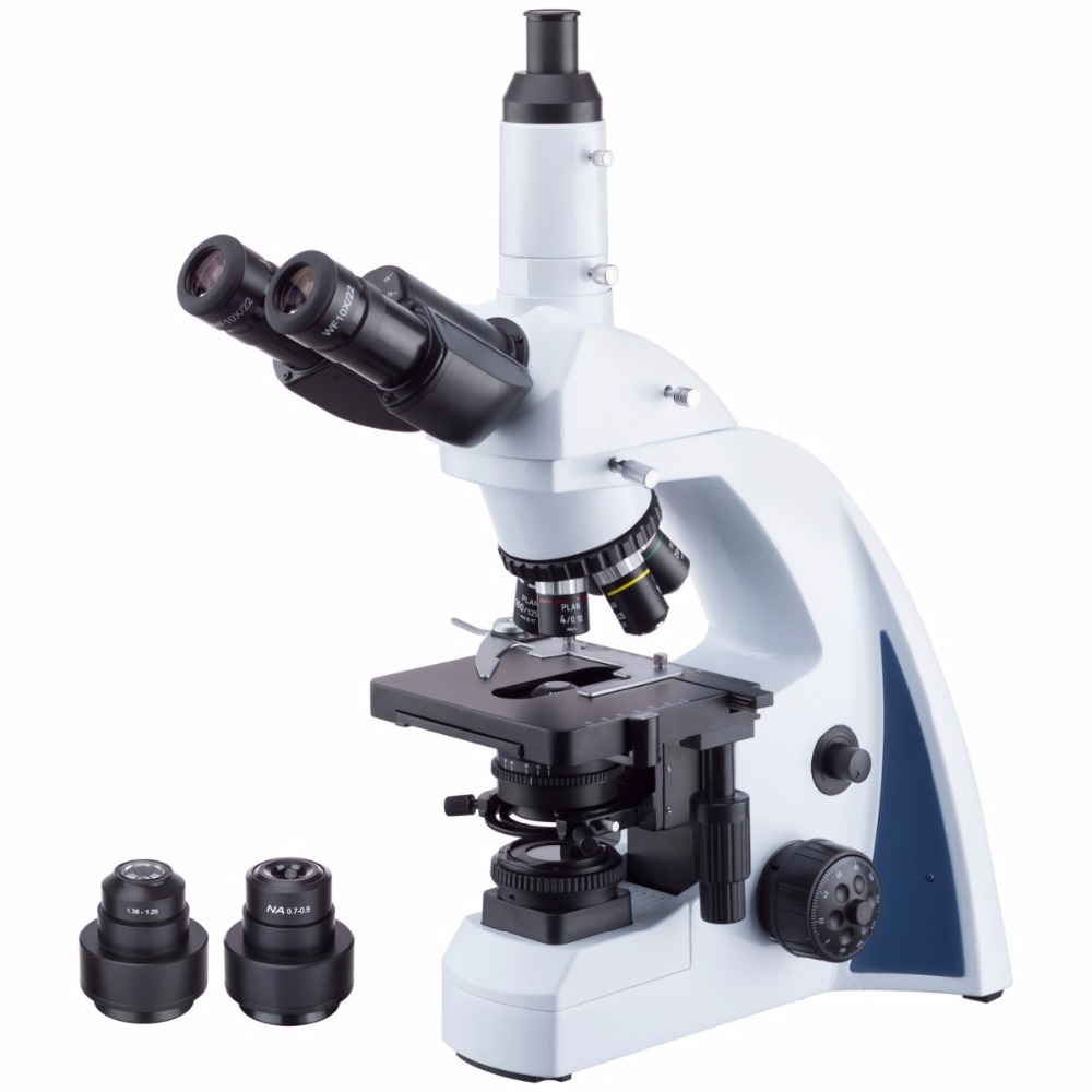 AmScope Infinity-corrected Dar - đánh giá và giá Amscope Microscope Compound 40X-1000X