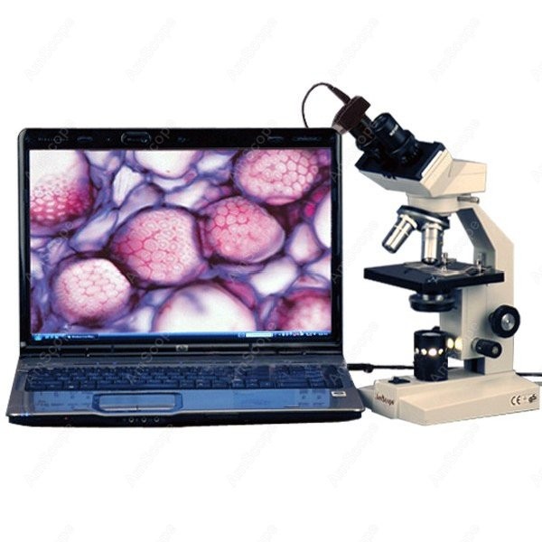 AmScope B100 Series Biological - đánh giá và giá Amscope Microscope Compound 40X-1000X