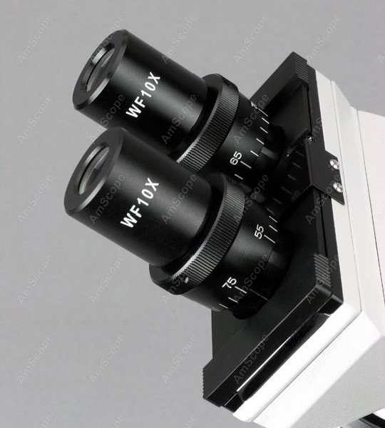 AmScope B100 Series Biological - đánh giá và giá Amscope Microscope Compound 40X-1000X