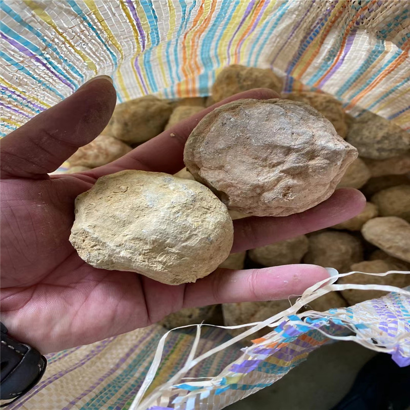 Break Your Own Geodes Natural  - đánh giá và giá Geode Crystal Break
