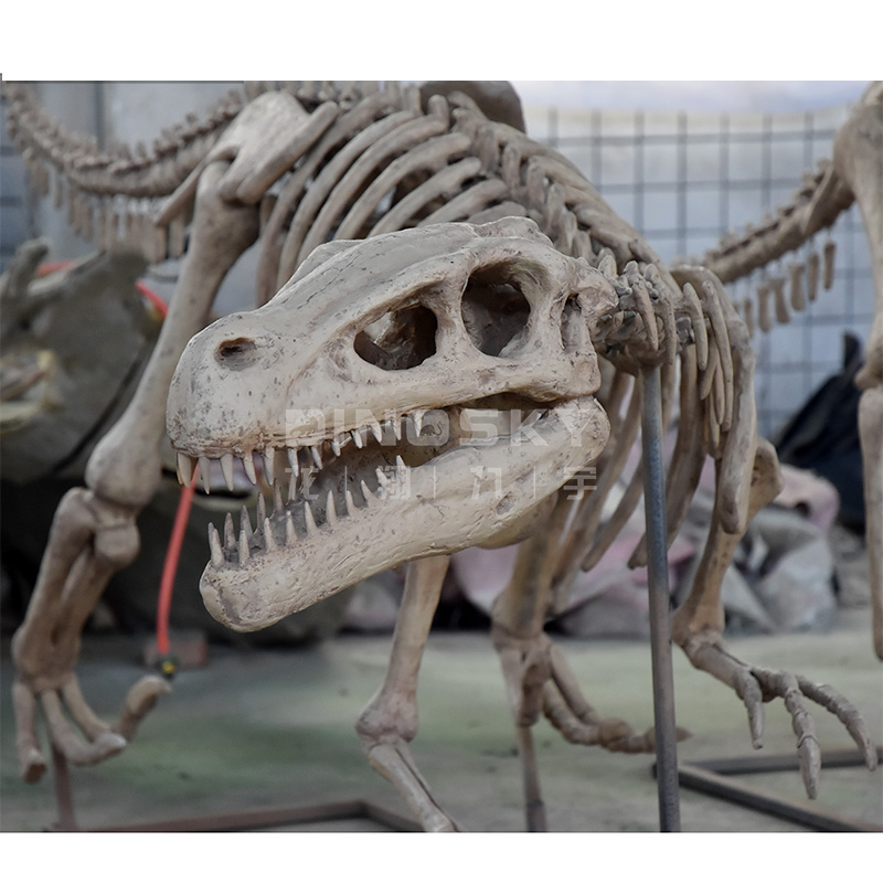 ATV&UTVResin Raptor Skeleton F - đánh giá và giá Science Exhibition Models