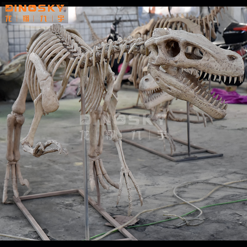 ATV&UTVResin Raptor Skeleton F - đánh giá và giá Science Exhibition Models