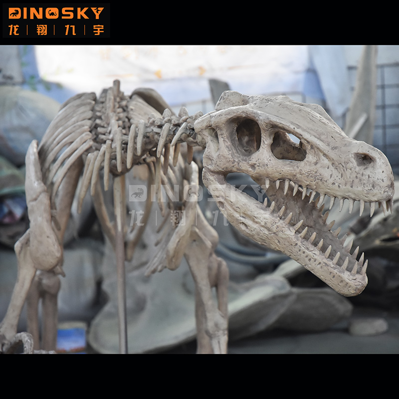ATV&UTVResin Raptor Skeleton F - đánh giá và giá Science Exhibition Models